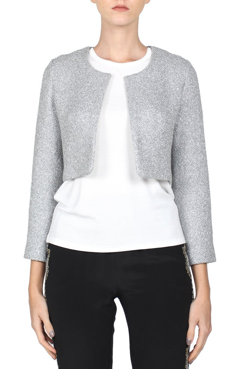 Cropped Metallic Jacket (Silver)